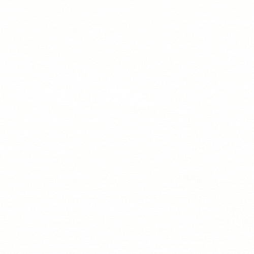 Anything Boes Studio Logo